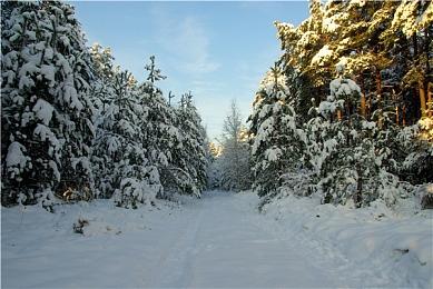 《Drag x Drive》价格泄露 Switch2第一方游戏或仅售20美元